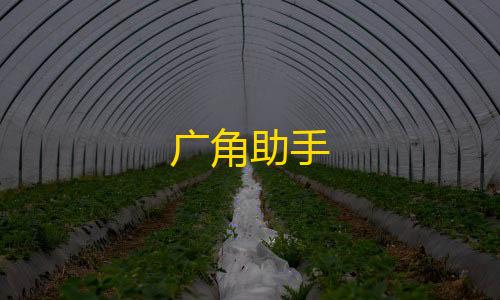 难言玩卧底背刺七套广角助手